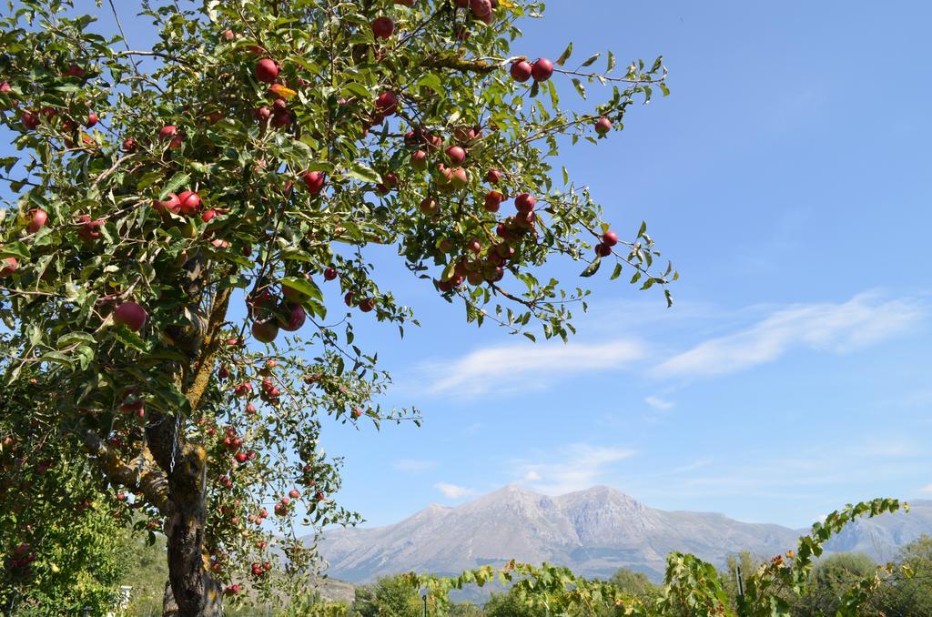 Agriturismo Villa Palentina Scurcola Marsicana Extérieur photo